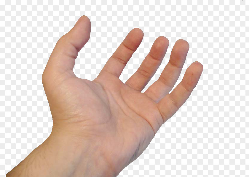 Hand Fist Right-hand Rule Finger PNG