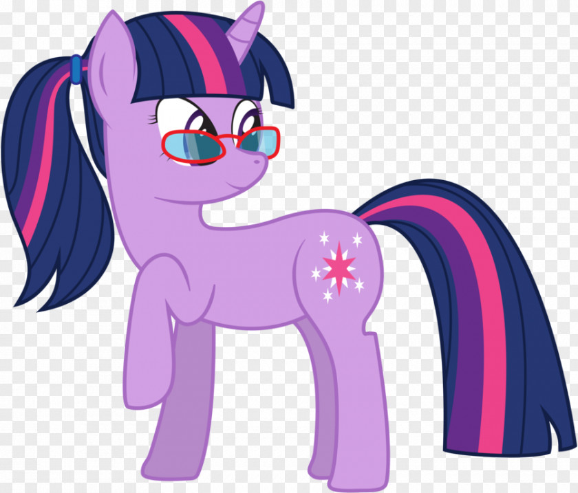 Horse Pony Twilight Sparkle Derpy Hooves Rarity PNG