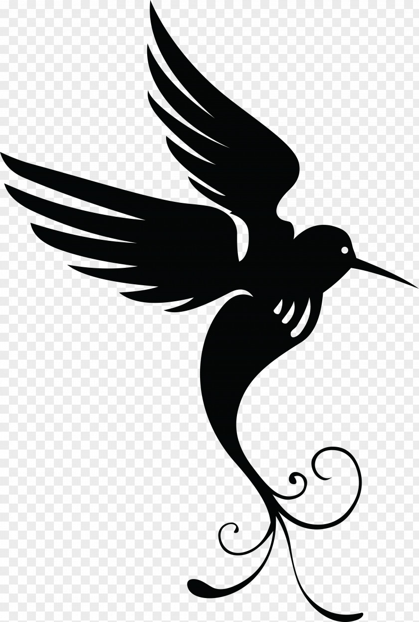 Hummingbird Silhouette Drawing PNG