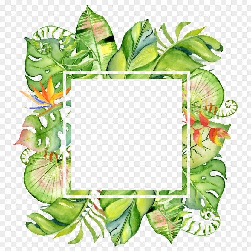 Leaf Vector Graphics Royalty-free Decorative Arts Picture Frames PNG