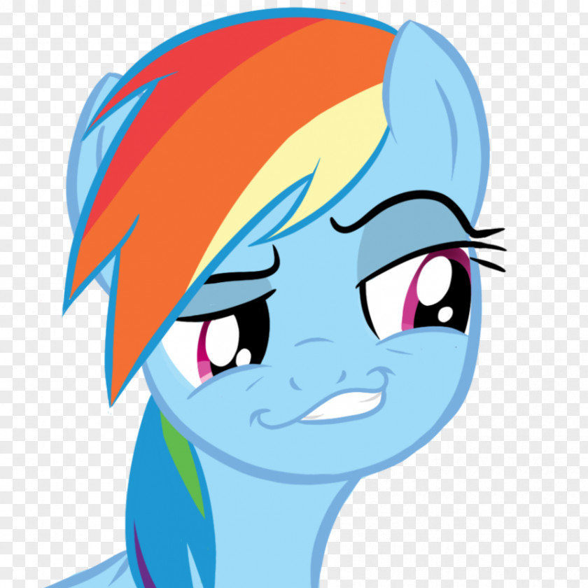 My Little Pony Rainbow Dash Pinkie Pie Applejack Twilight Sparkle Smirk PNG