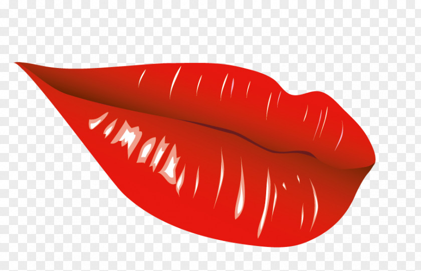 Vector Lips Lip Kiss Euclidean PNG