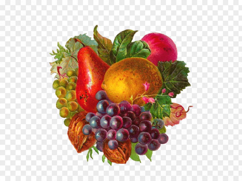 Apple Fruit Clip Art Grape PNG