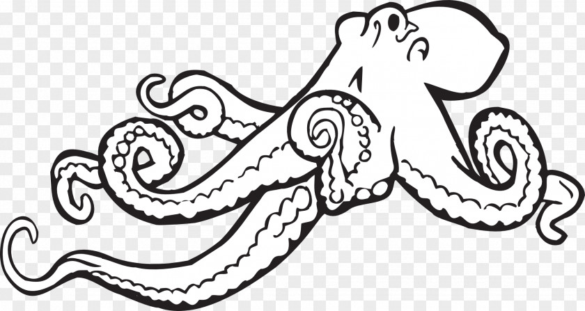 Cartoon Squid Octopus Drawing Black And White Clip Art PNG