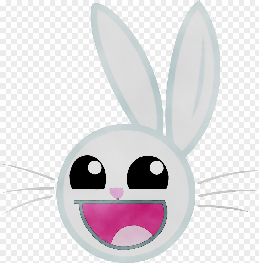 Easter Bunny Whiskers Snout Cartoon PNG