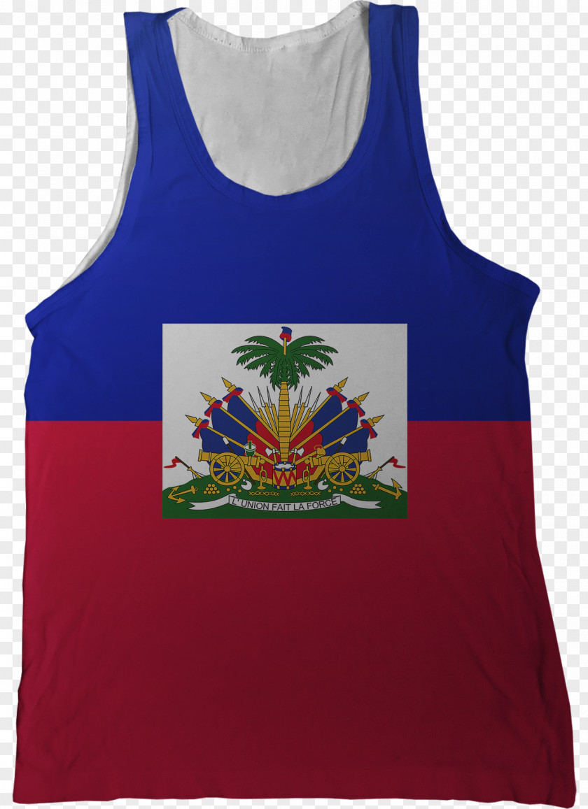 Flag Of Haiti Haitian Revolution Coat Arms 2010 Earthquake PNG