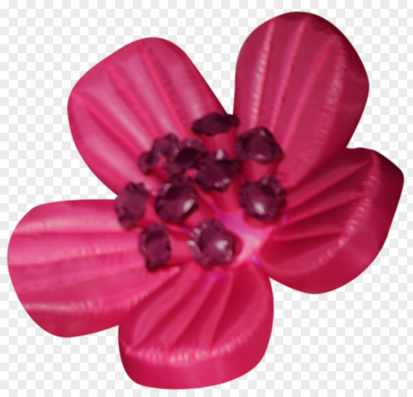 Flower Falling Petal Remembrance Poppy Armistice Day PNG