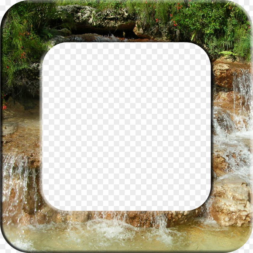 Tropical Frame DeviantArt Stock Photography Clip Art PNG