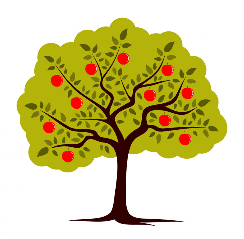 Apple Fruit Tree Clip Art PNG