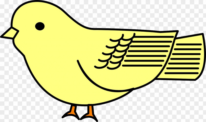 Bird Cartoon Drawing Clip Art PNG