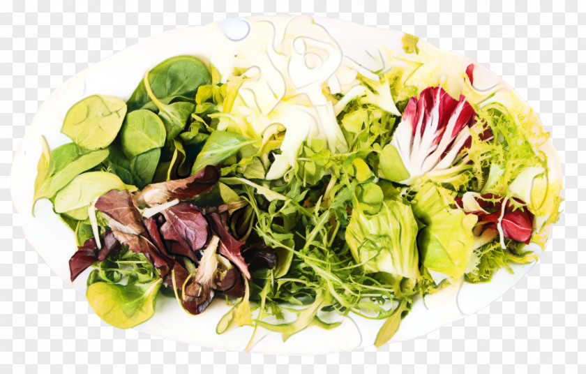 Lettuce Vegetarian Cuisine Food Garnish Spring Greens PNG