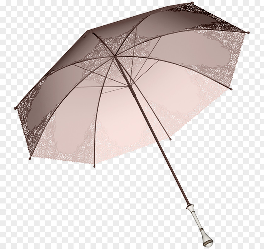 Umbrella Shade Angle PNG