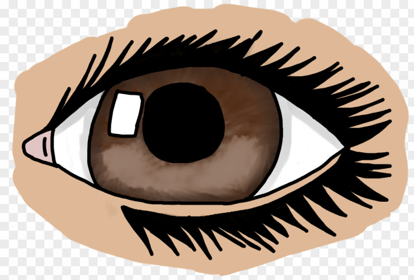 Eye Eyelash Clip Art Illustration Vector Graphics PNG