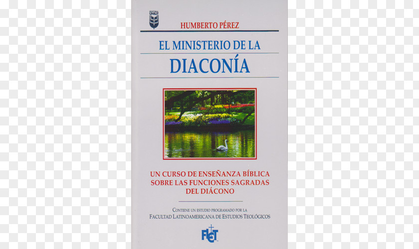 Girls El Ministerio De La Diaconía Ministry Deacon PNG