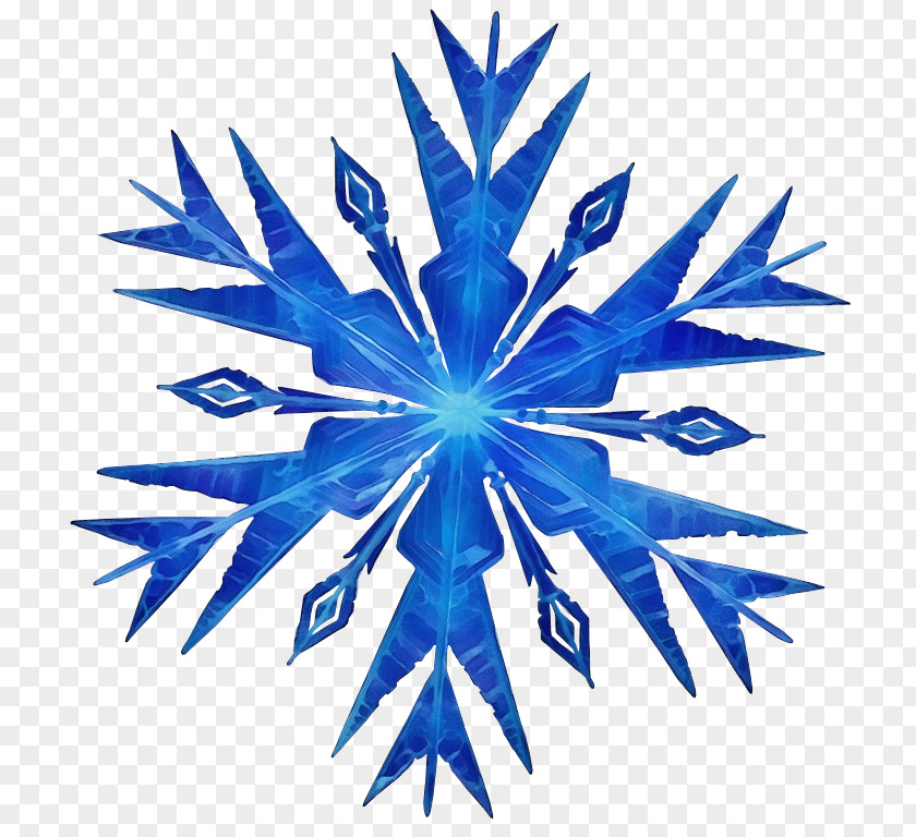 Plant Symmetry Snowflake PNG