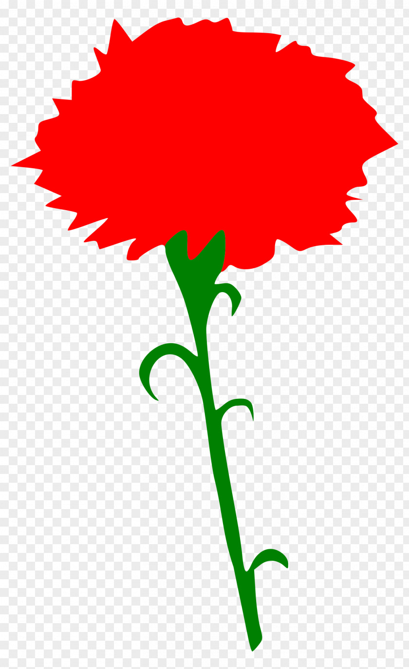 Rose Womens Day Carnation Woman Clip Art PNG