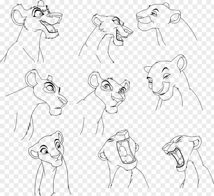Lion Homo Sapiens Drawing Ear Sketch PNG