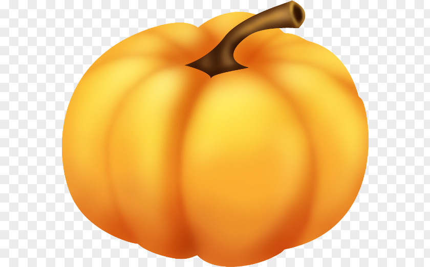 Pumpkin PNG clipart PNG