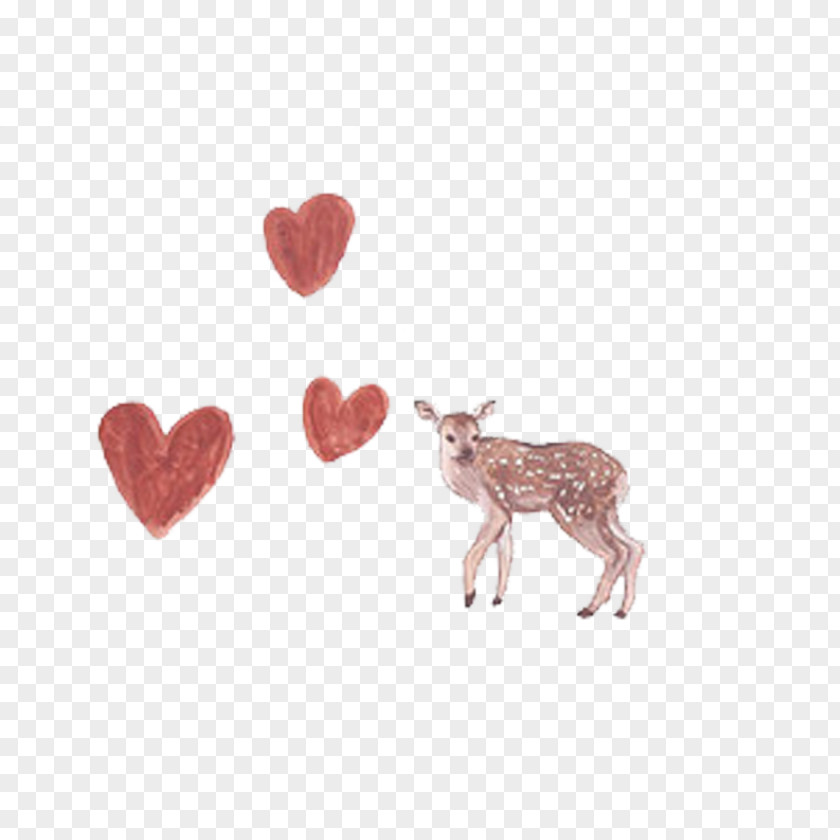 Sika Deer Love Wallpaper PNG