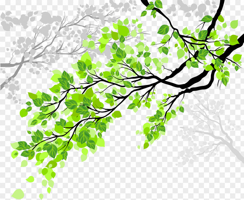Spring Window Film Tree Wall Decal PNG
