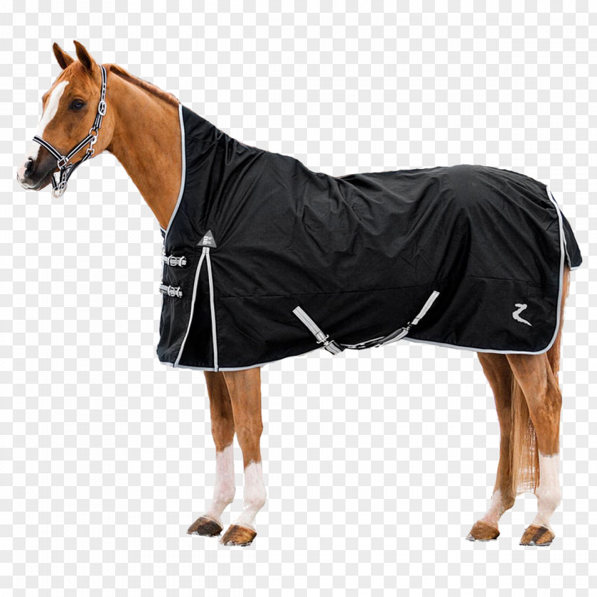 Horse Blanket Equestrian Sport Polar Fleece PNG