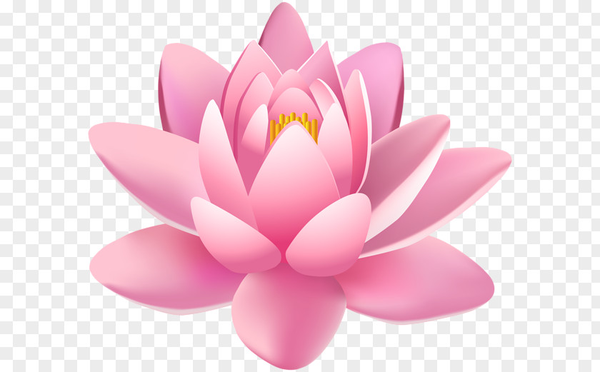 Pink Flower Day Spa Light Aromatherapy PNG