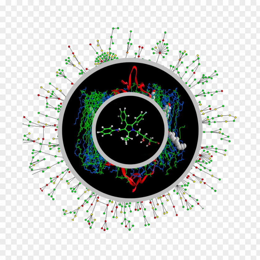 Systems Biology Protein–protein Interaction Rhizome Research PNG