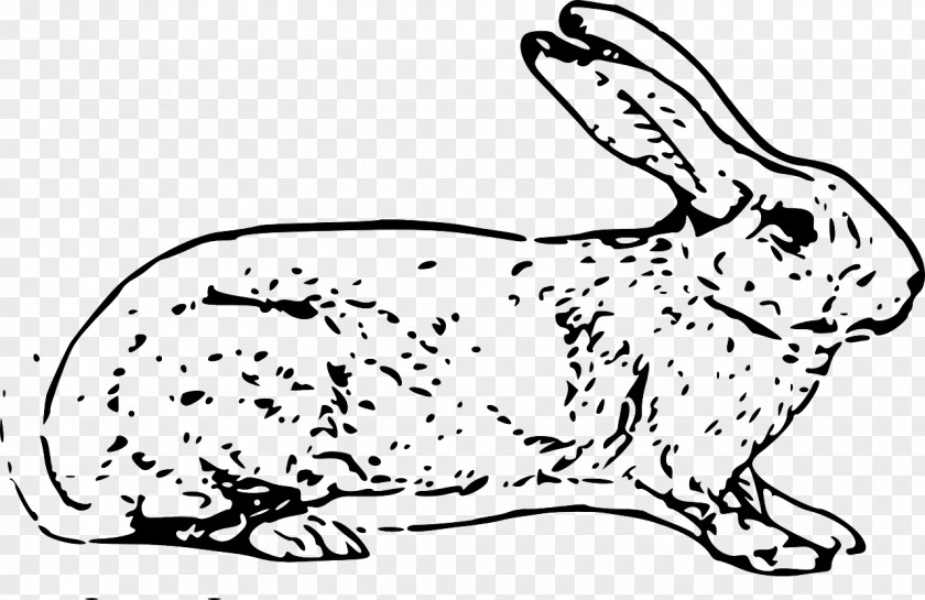 White Spots Bunny Rabbit Easter Hare Domestic Clip Art PNG