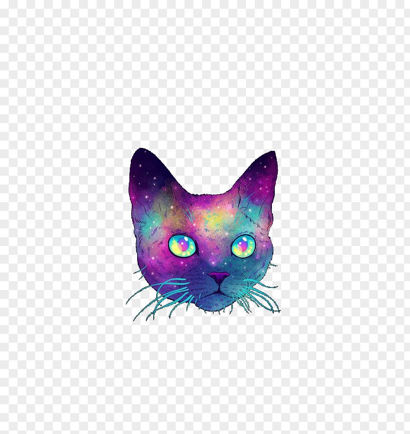 Cat Meow Computer Software PNG