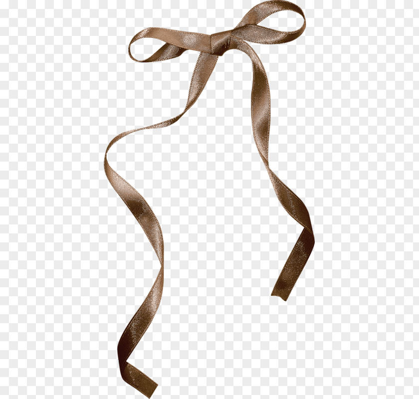 Decorative Bows Ribbon Shoelace Knot Brown PNG