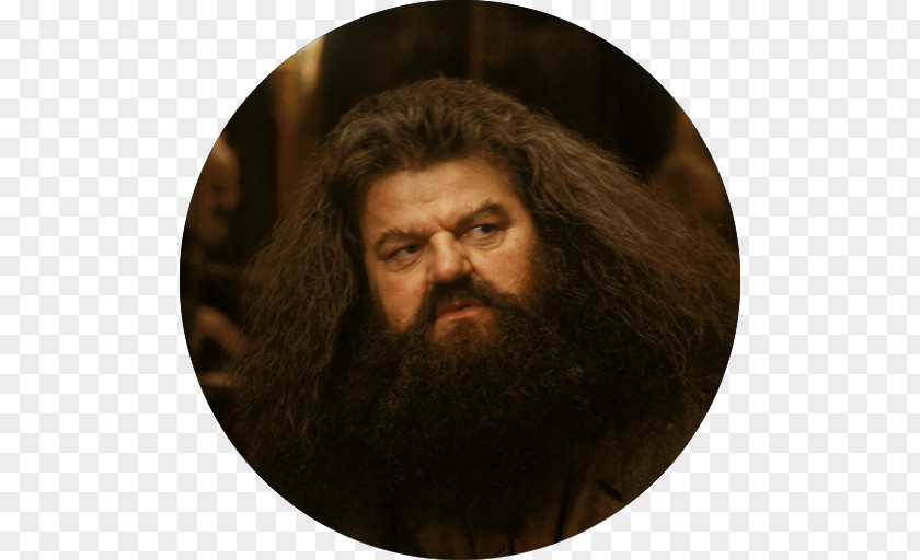Harry Potter Robbie Coltrane And The Philosopher's Stone Rubeus Hagrid Hermione Granger PNG