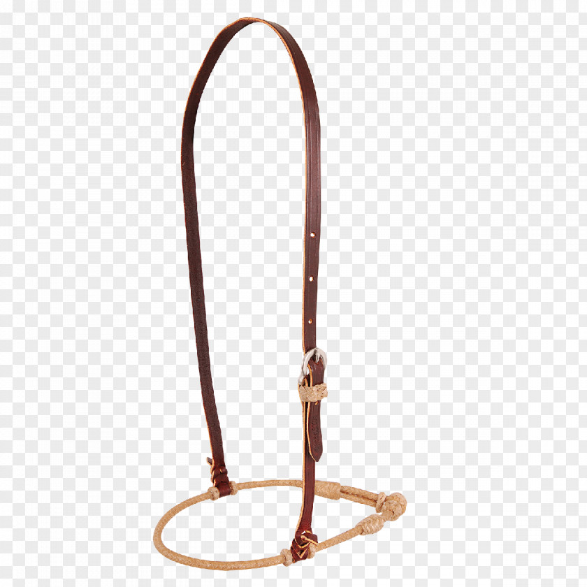Horse Tack Hobble Longeing Cavesson Rawhide PNG