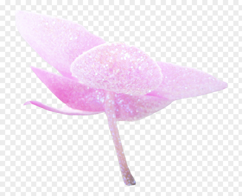 Pink M PNG