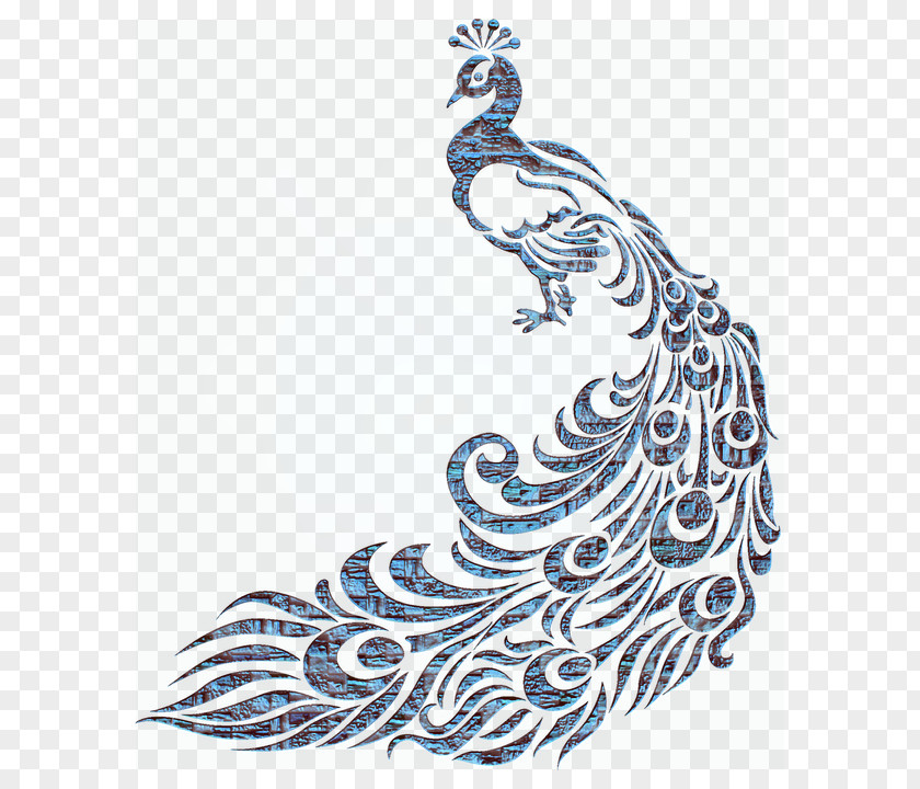 Bird Peafowl Cricut Stencil Designs Clip Art PNG
