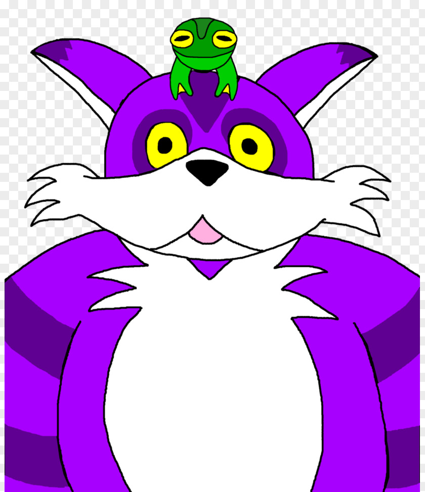 Cat Big The Whiskers Sonic Hedgehog Sega PNG