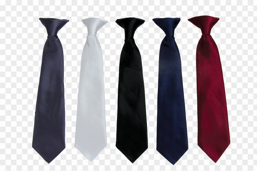 Cravate Necktie Fashion Season PNG