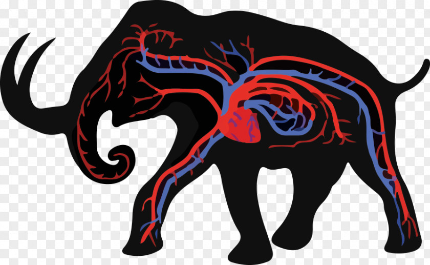 Elephant Asian African Woolly Mammoth Columbian PNG