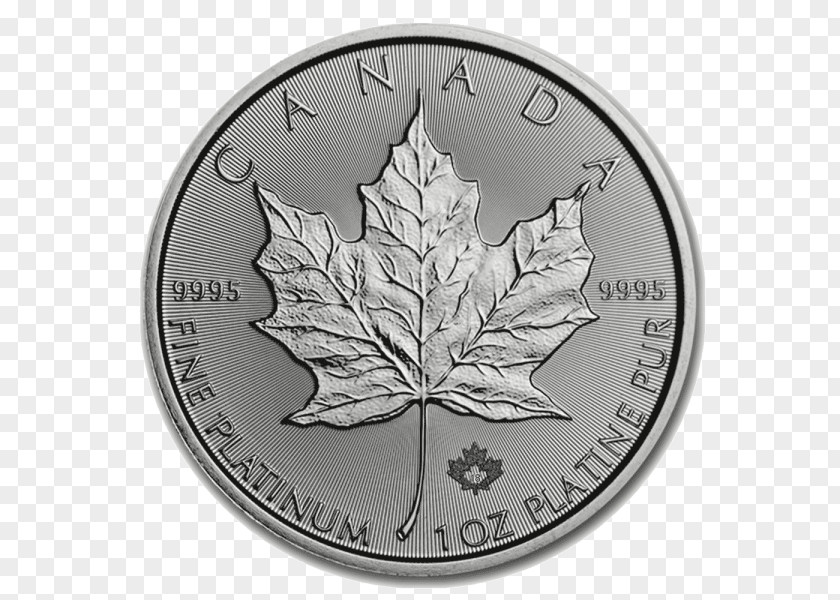 Gold Canadian Maple Leaf Platinum Bullion Royal Mint PNG