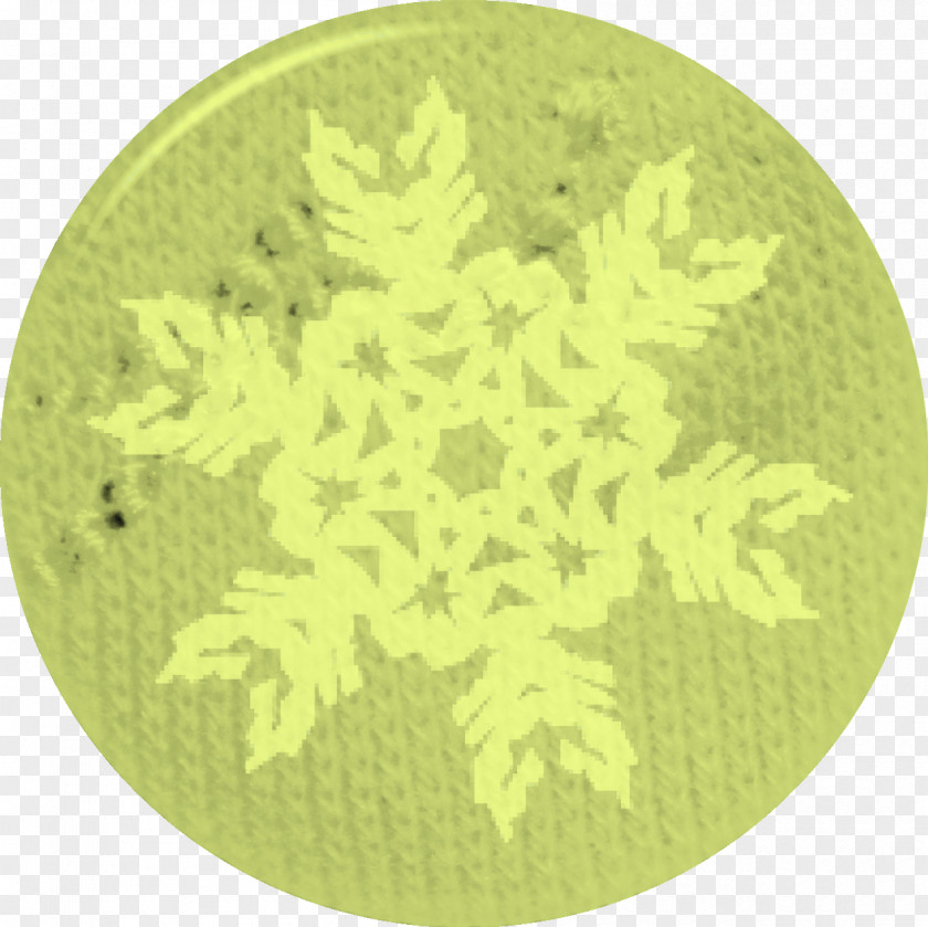 Green Snowflakes Snowflake Icon PNG