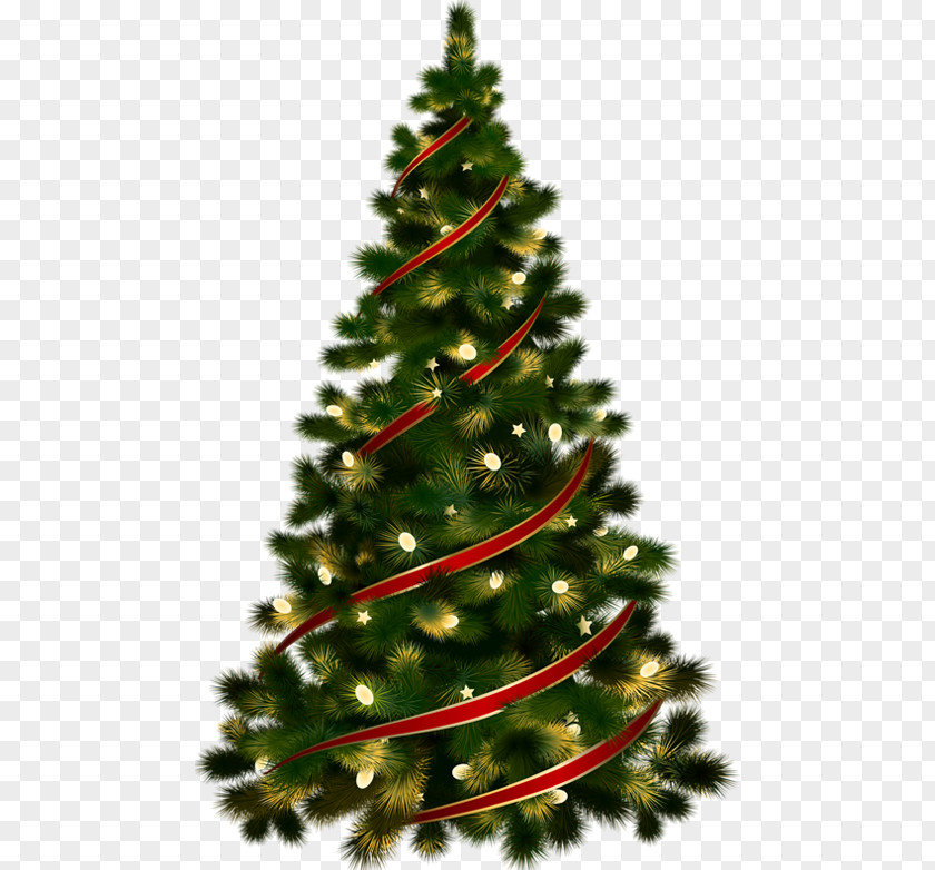 Christmas Tree Clip Art Candy Cane Ornament PNG