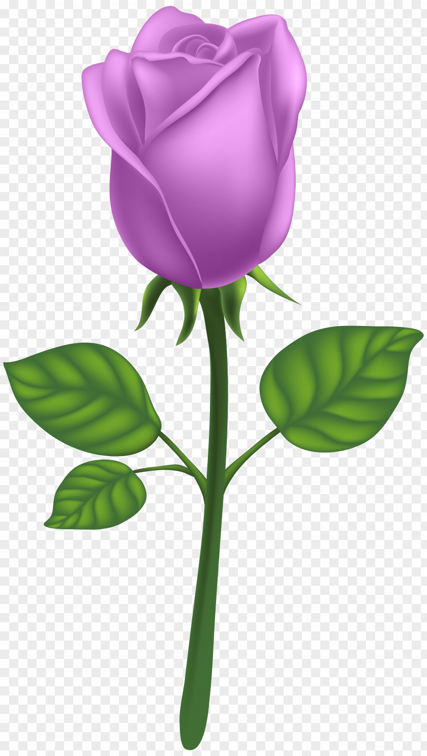 Purple Deco Rose Clip Art Image Raster Graphics Drawing PNG