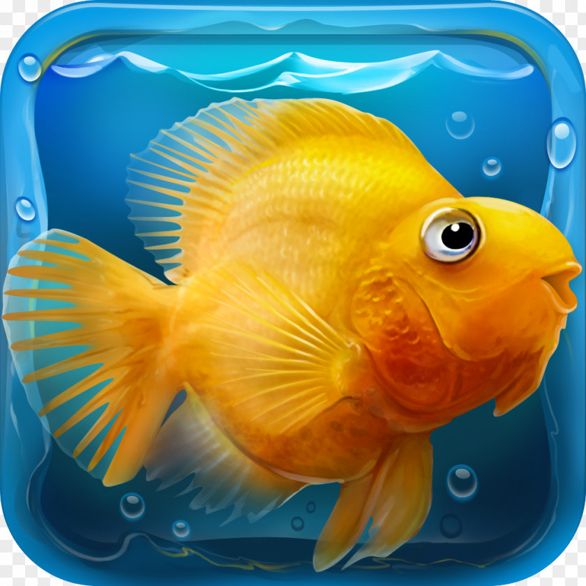 Aquarium IQuarium Relaxing Game Download Android PNG