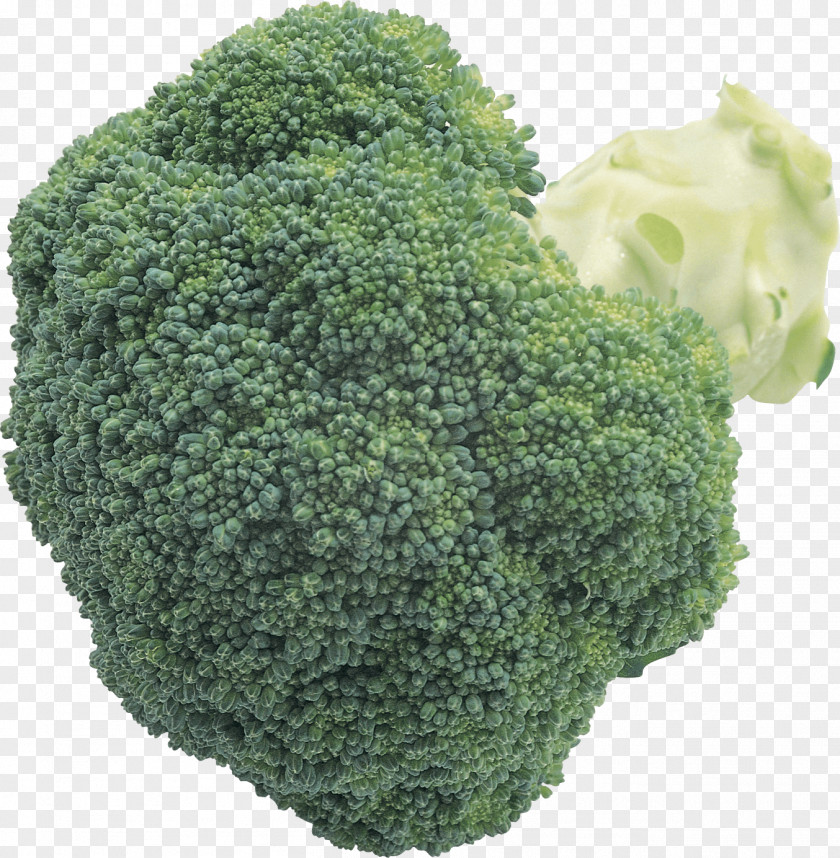Broccoli Image Cabbage Cauliflower Brussels Sprout PNG