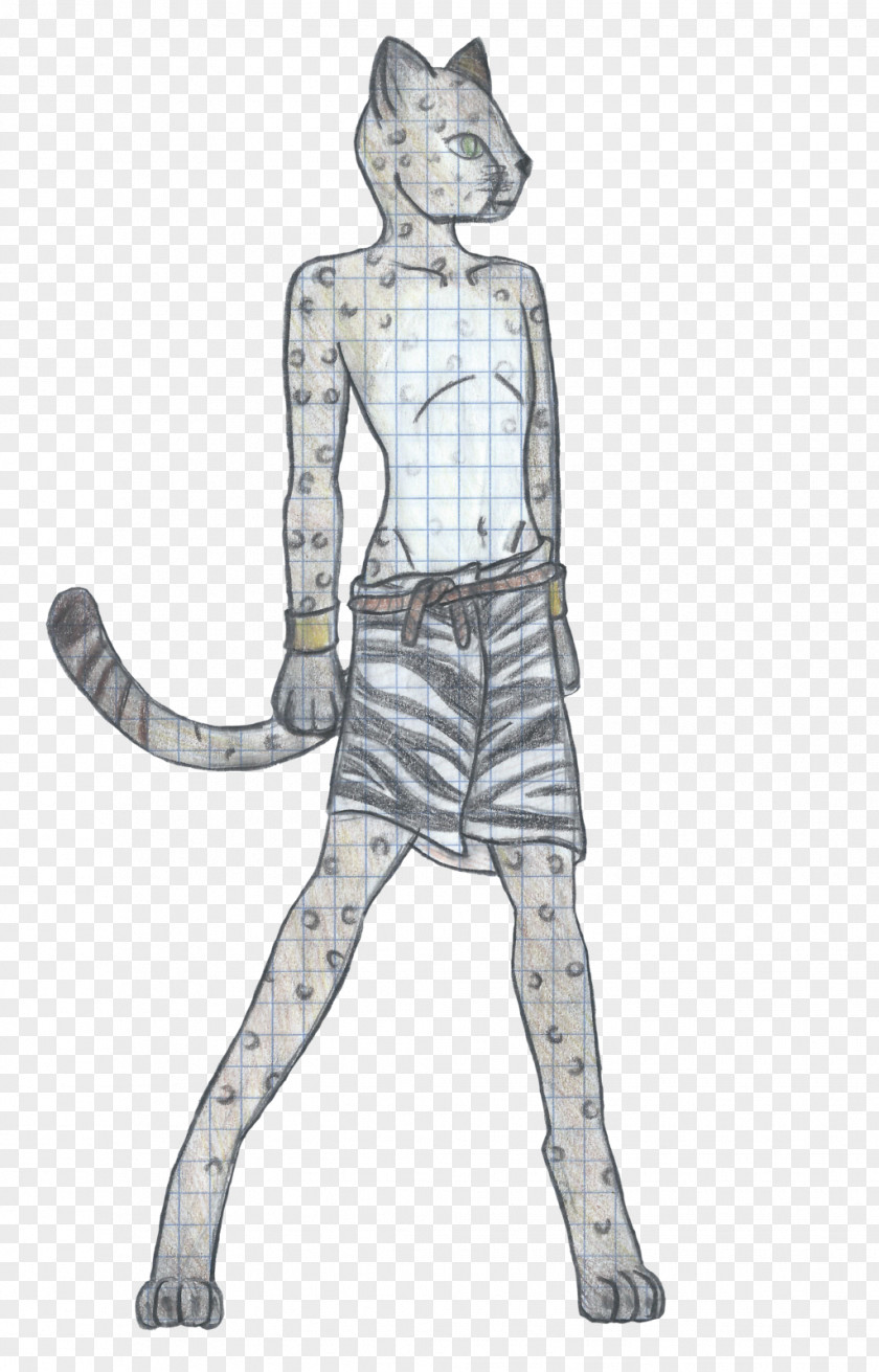 Cheetah Clothing Drawing Costume PNG