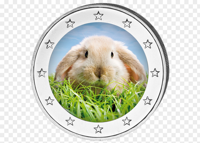 Frohe Ostern Desktop Wallpaper Domestic Rabbit Download PNG