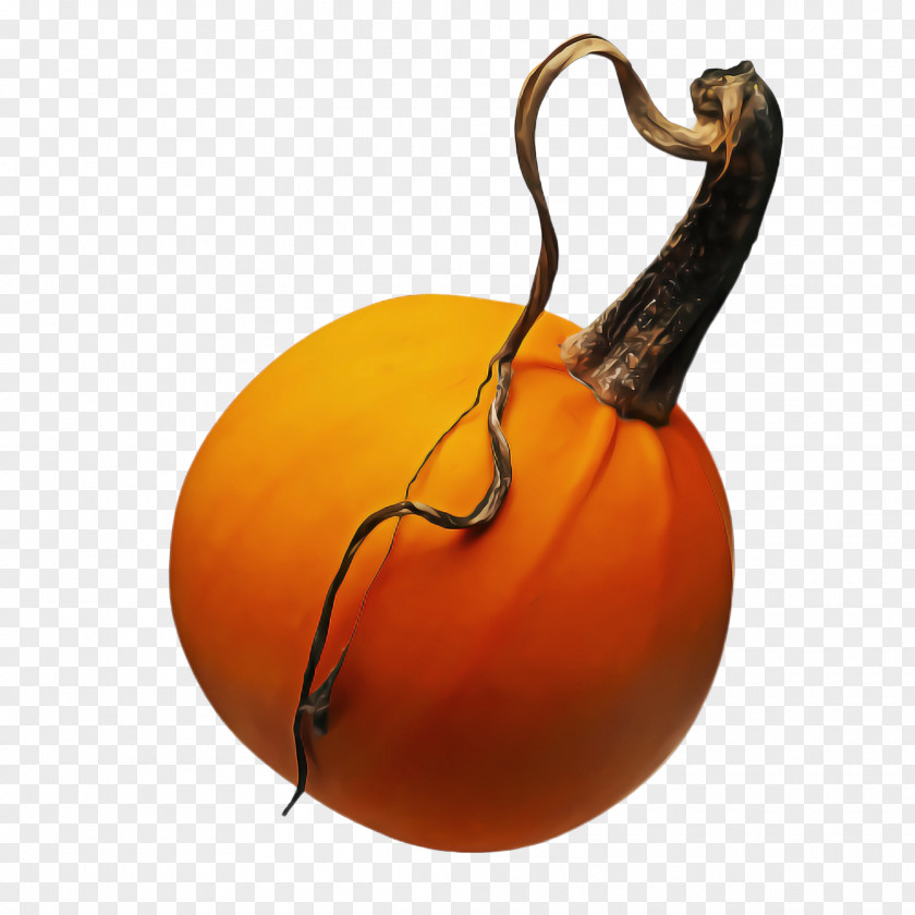 Fruit Cucurbita Orange PNG