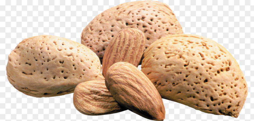 Nuts Almond Nut Wallpaper PNG