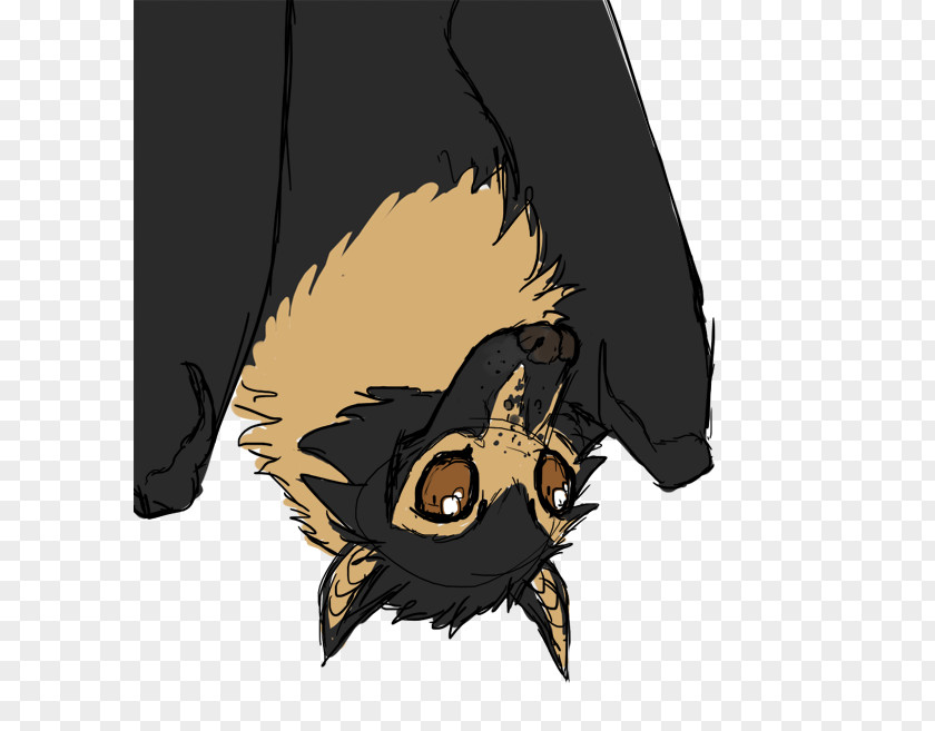 Fruit Bat Drawing DeviantART Cat Illustration Cartoon Eye Claw PNG