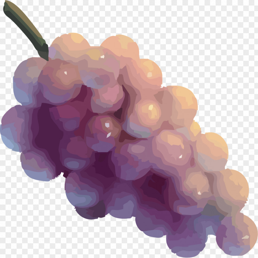 Painted A Bunch Of Grapes Grape Seed Extract Seedless Fruit PNG