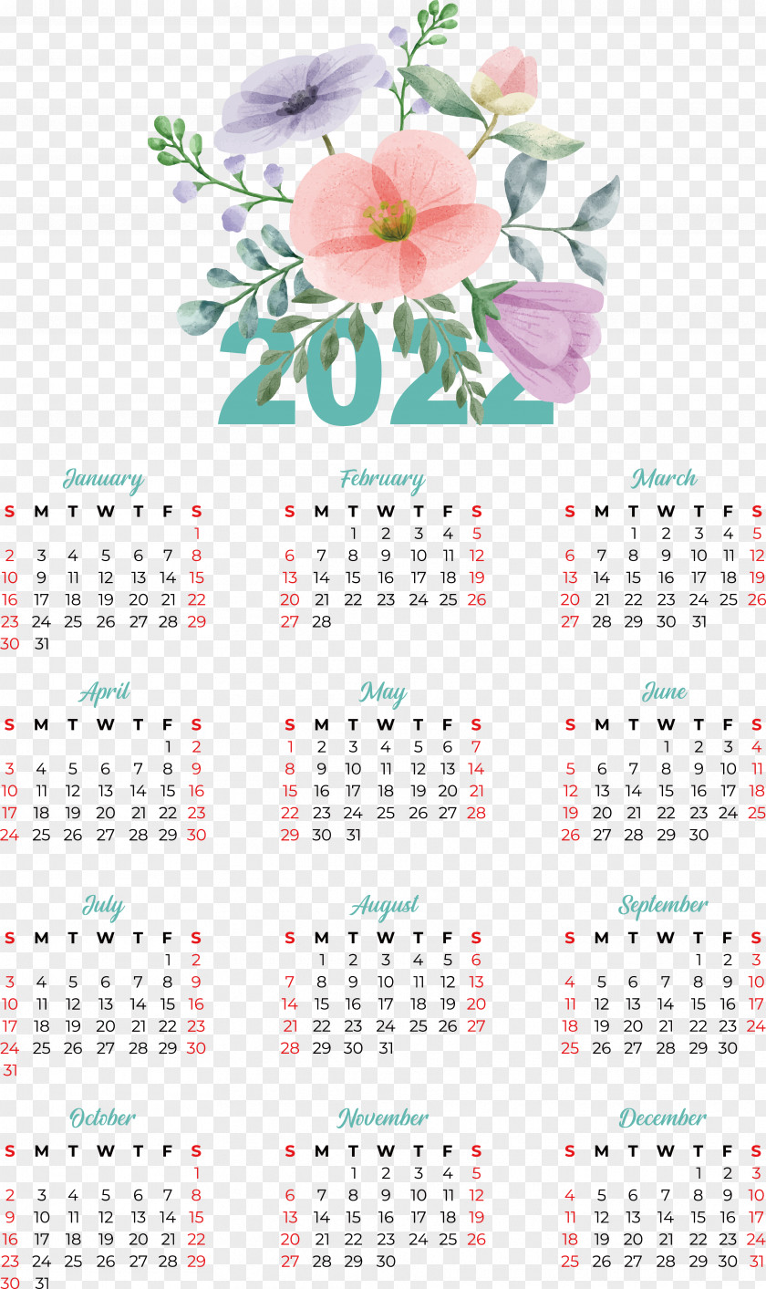 Calendar Flower Petal Meter PNG